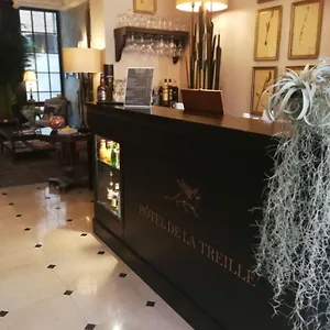 Hotel De La Treille, Lila